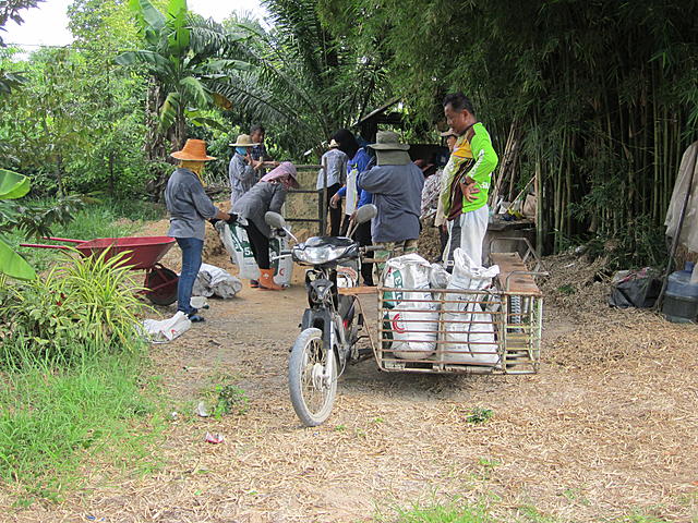 โครงการพัฒนาแปลงผักไฮโดรโปรนิคสู่ระบบเกษตรอินทรีย์ ด้วยเทคโนโลยีระบบเกษตรอัจฉริยะ (Smart farmer internet of things หรือ iot)