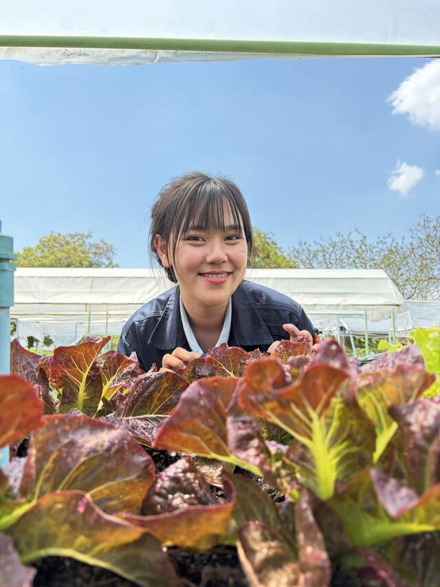 BLCP Green Area – พื้นที่สีเขียว และแปลงผักปลอดสาร ในโรงไฟฟ้าบีแอลซีพี ที่ธรรมชาติกำลังเบ่งบาน