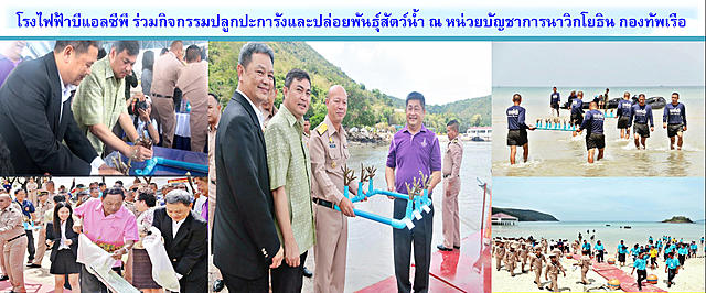 กิจกรรมของโครงการฟาร์มเพาะพันธุ์สัตว์น้ำ